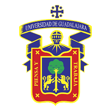 UDG 5ta mejor escuela virtual