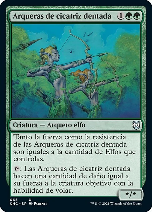 Arqueras de cicatriz dentada