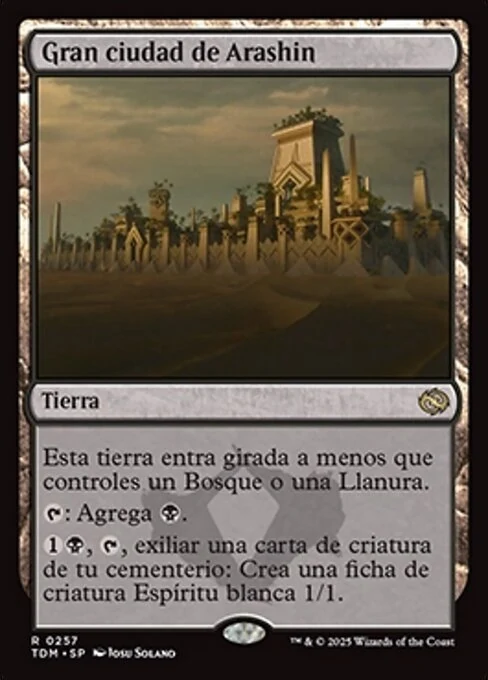 Gran ciudad de Arashin