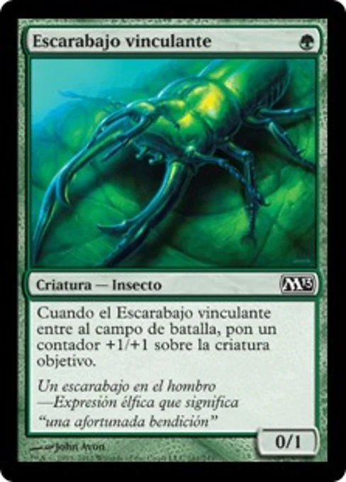 Escarabajo vinculante