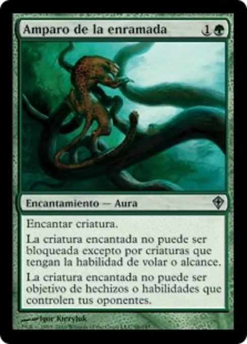 Amparo de la enramada