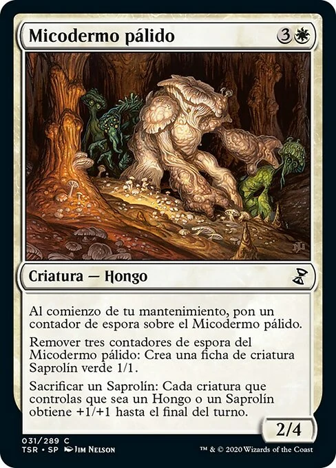 Micodermo pálido