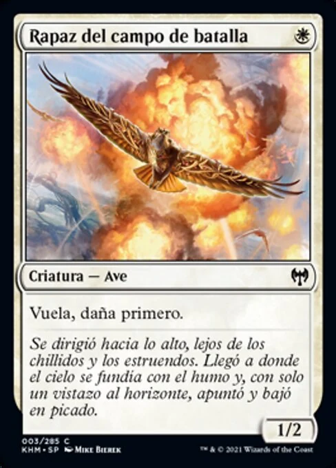 Rapaz del campo de batalla
