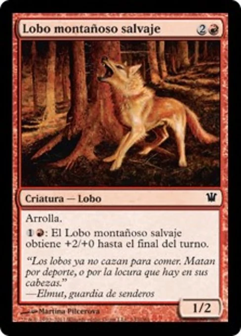 Lobo montañoso salvaje