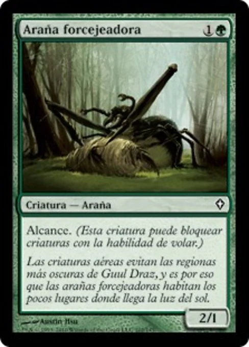 Araña forcejeadora