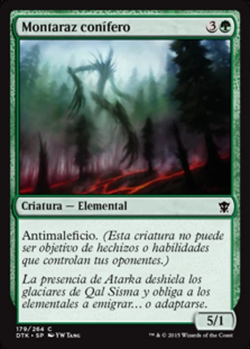 Montaraz conífero