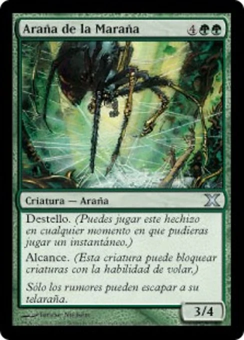 Araña de la Maraña