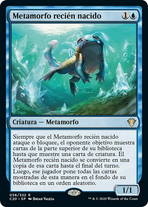 Metamorfo recién nacido