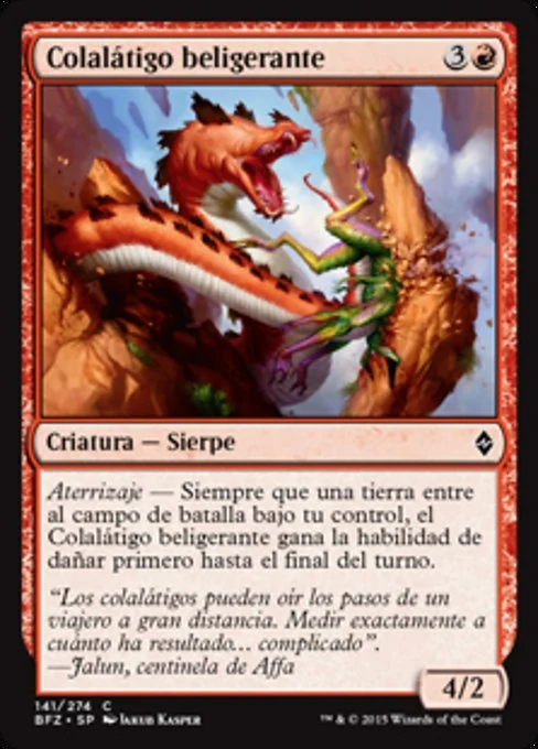 Colalátigo beligerante