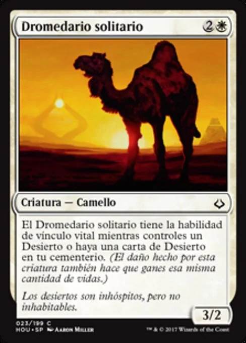Dromedario solitario