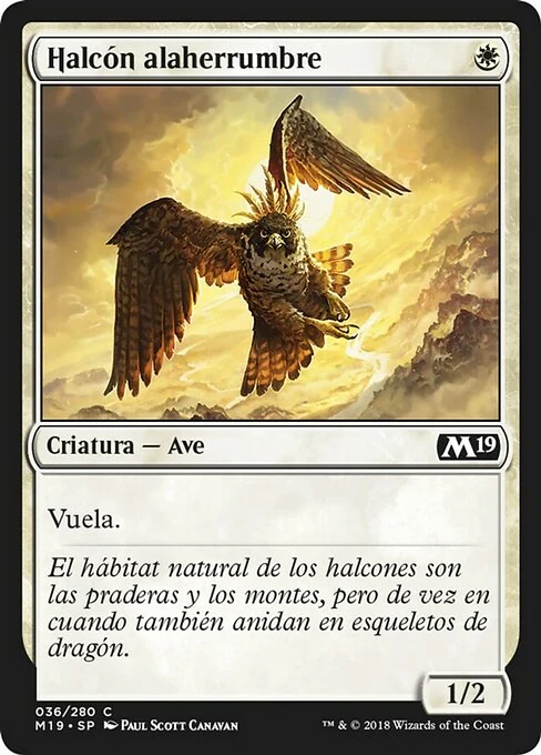 Halcón alaherrumbre