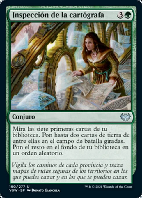 Inspección de la cartógrafa