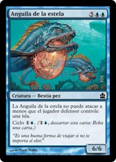 Anguila de la estela