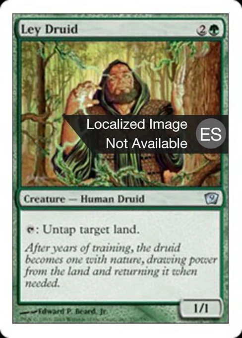 Druida de Lei