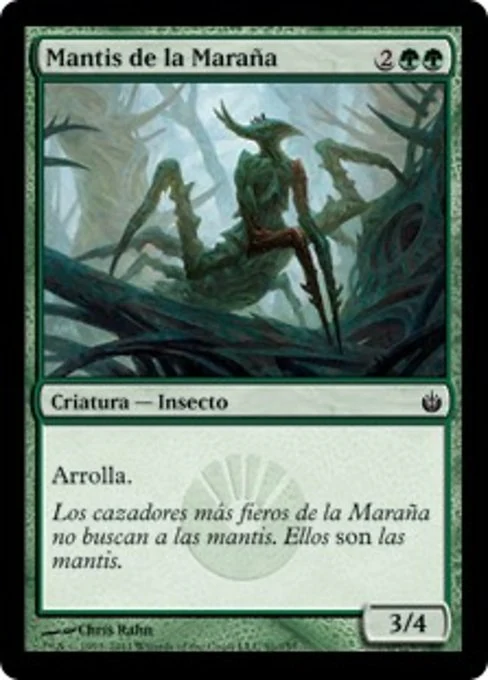 Mantis de la Maraña