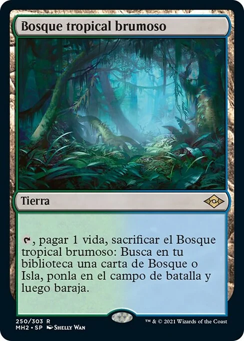 Bosque tropical brumoso