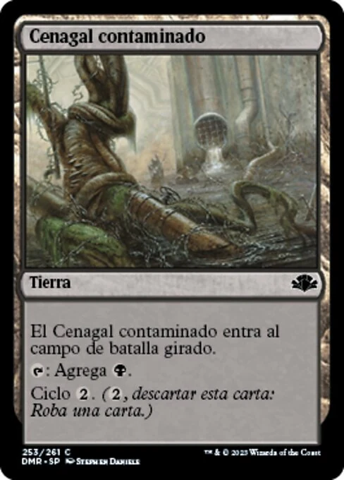 Cenagal contaminado