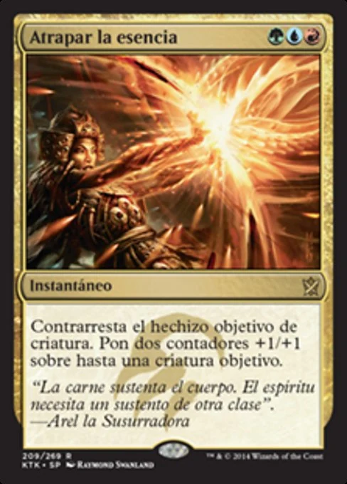 Atrapar la esencia