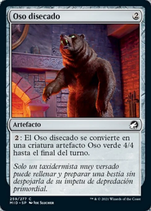Oso disecado