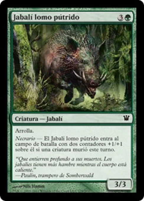 Jabalí lomo pútrido