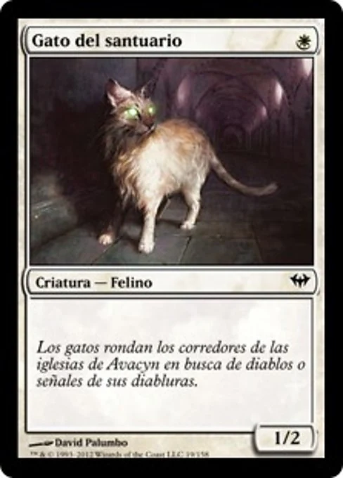 Gato del santuario