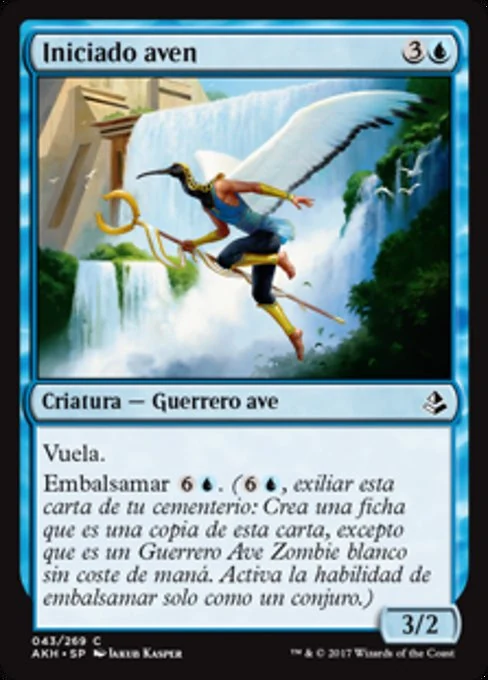 Iniciado aven
