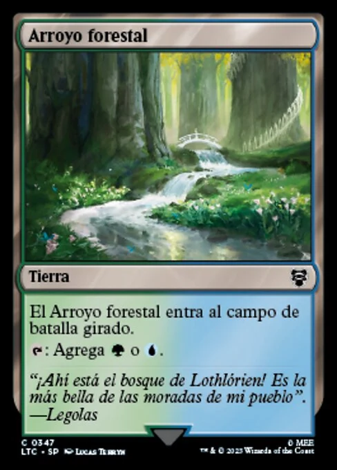 Arroyo forestal