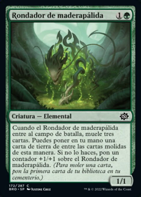 Rondador de maderapálida