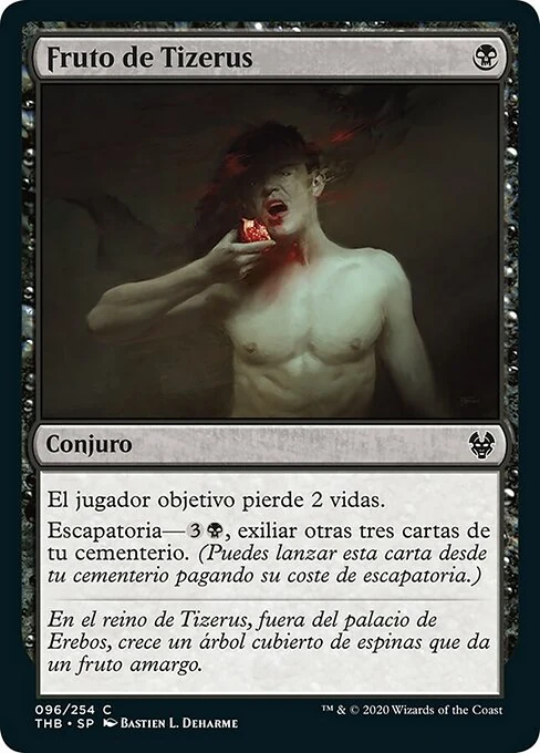 Fruto de Tizerus