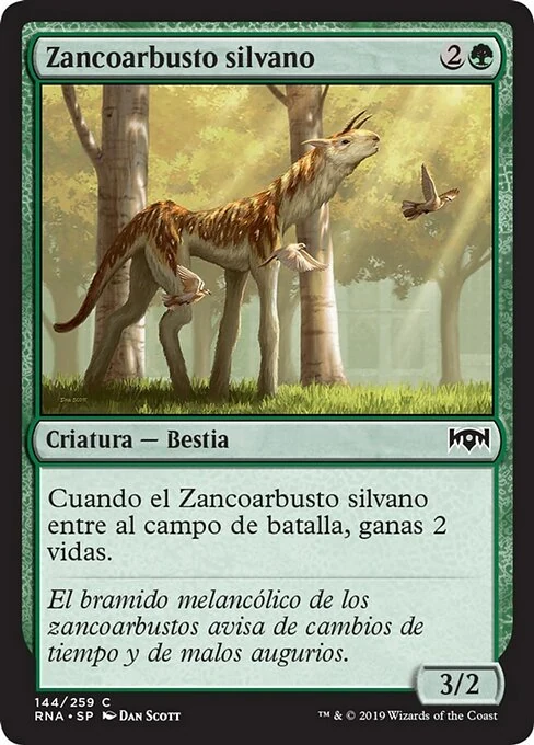 Zancoarbusto silvano