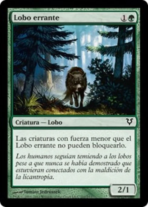 Lobo errante