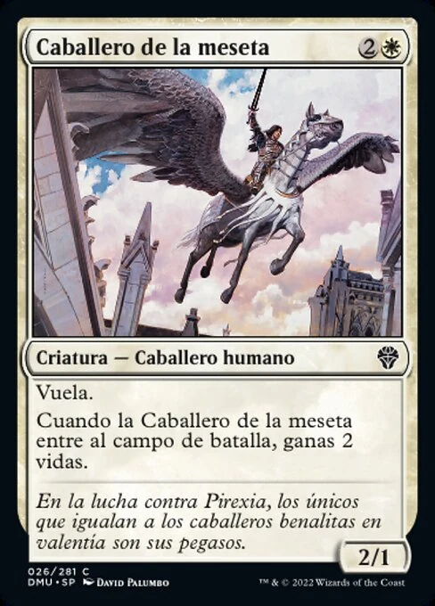 Caballero de la meseta