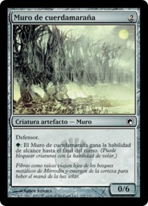 Muro de cuerdamaraña