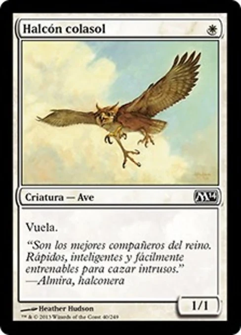 Halcón colasol