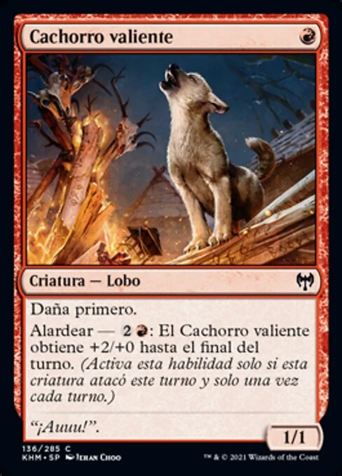 Cachorro valiente