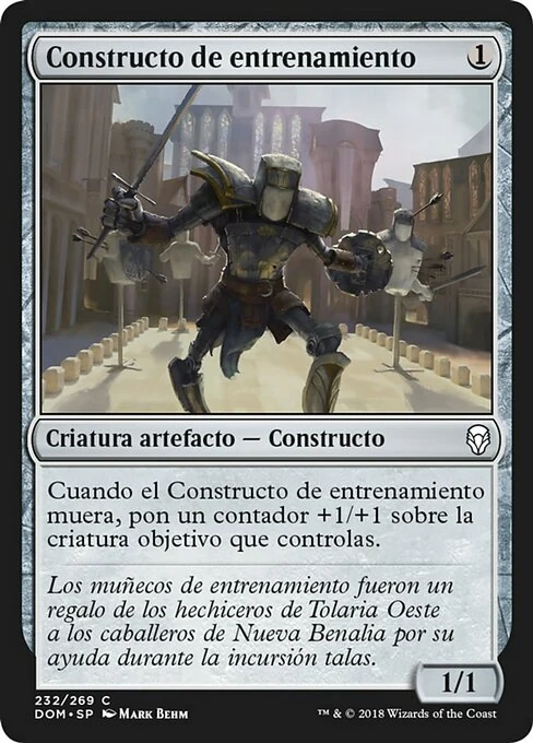 Constructo de entrenamiento