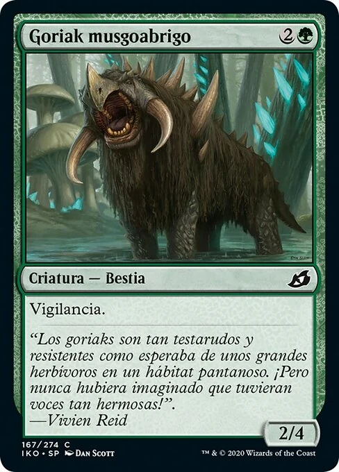 Goriak musgoabrigo