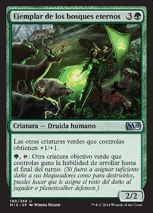 Ejemplar de los bosques eternos