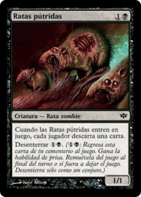 Ratas pútridas