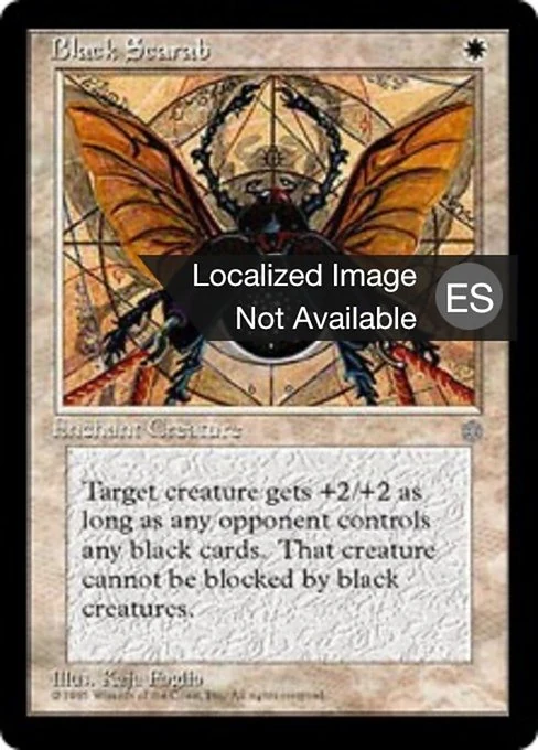 Escarabajo negro