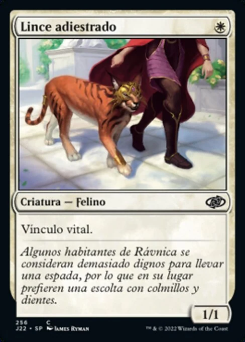 Lince adiestrado