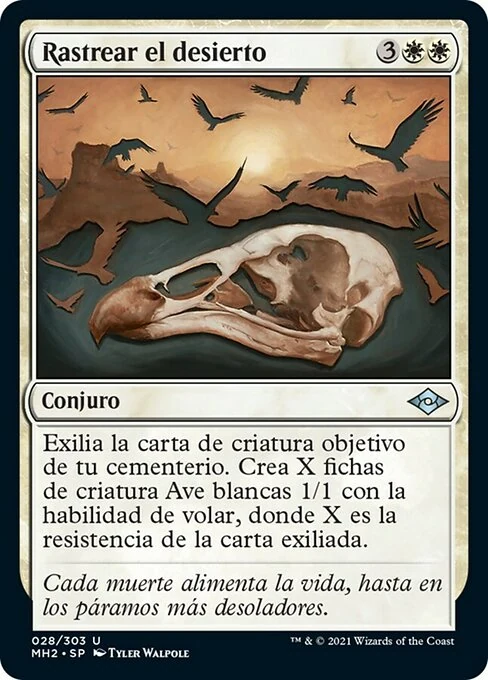 Rastrear el desierto