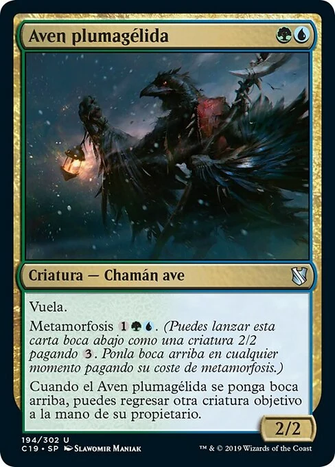 Aven plumagélida