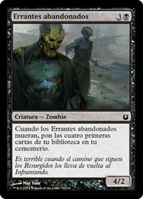 Errantes abandonados