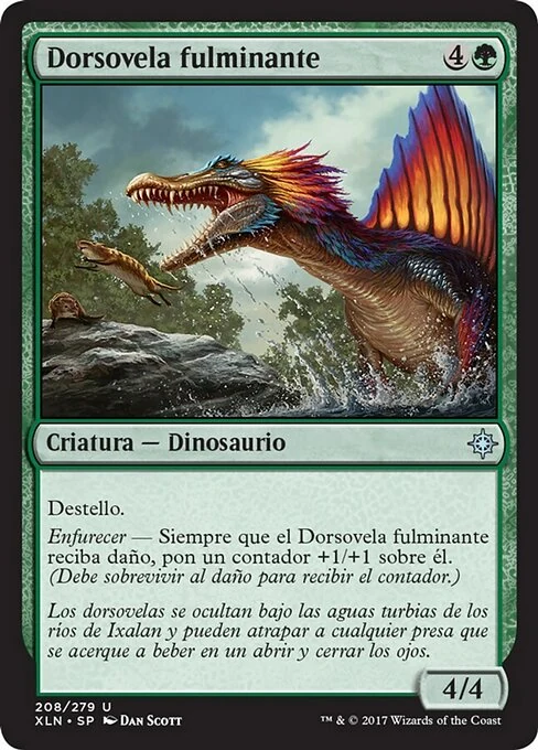 Dorsovela fulminante